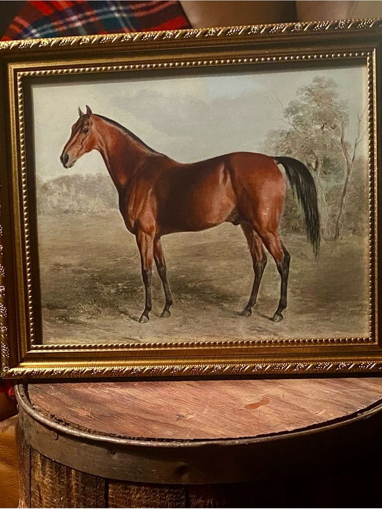Hunt & Magnolia Other - Kentucky Woodpecker Horse Equestrian Reproduction Framed Print 8x10